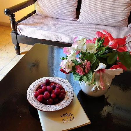 In Guest - Traditional For Relaxation And Rejuvenation Vendégház *