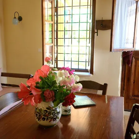 In Guest - Traditional For Relaxation And Rejuvenation